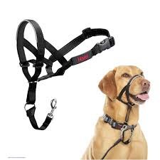 Head Collar